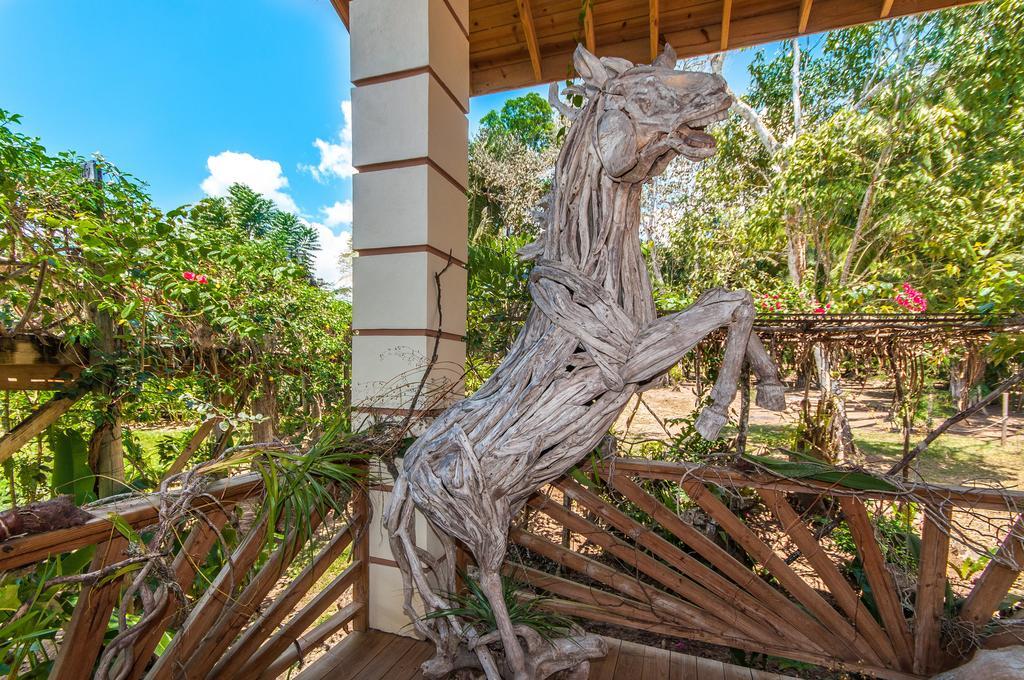 Dream Valley Belize Teakettle Village Exterior photo