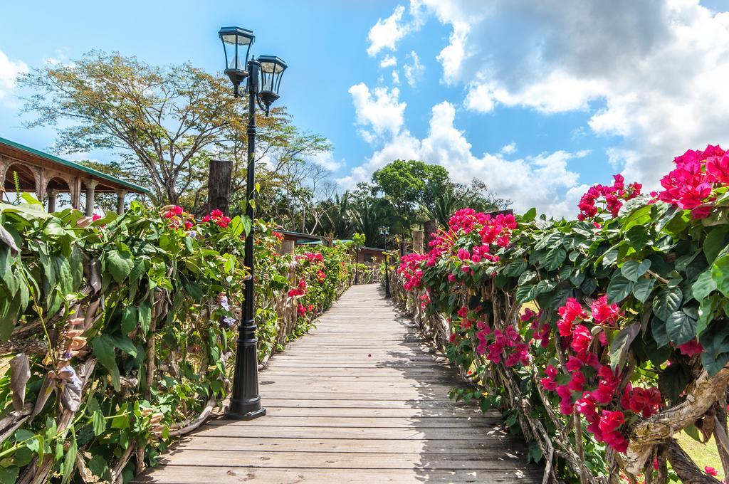 Dream Valley Belize Teakettle Village Exterior photo