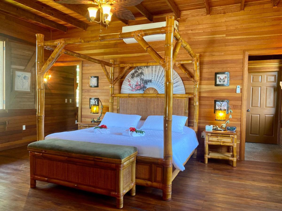 Dream Valley Belize Teakettle Village Exterior photo